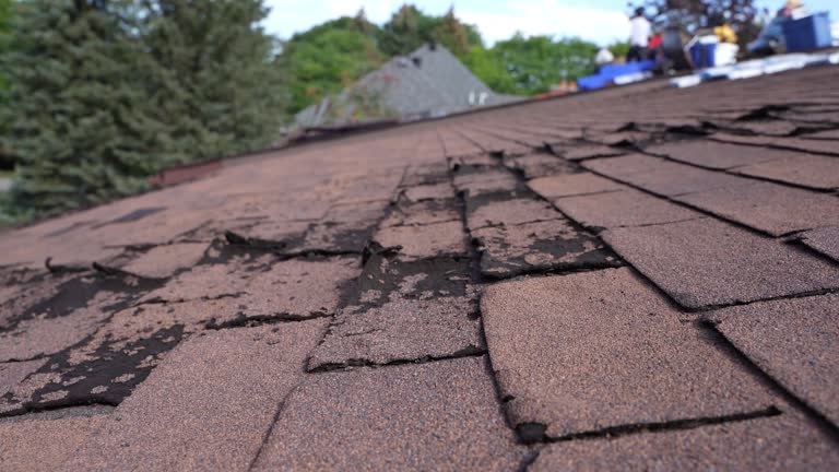Best Roof Maintenance and Cleaning  in USA